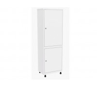 Шкаф медицинский ШММ-1-Р