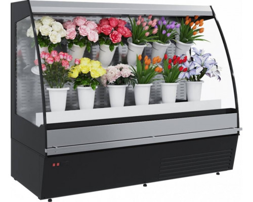 Холодильная горка для цветов Carboma F16-08 VM 1,3-2 0020 FLORA (9005)